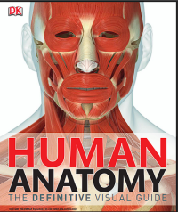 Image of Human Anatomy